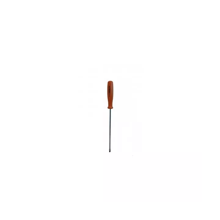 TOURNEVIS POUR VIS À FENTE 6*100MM EXTRA ACEM