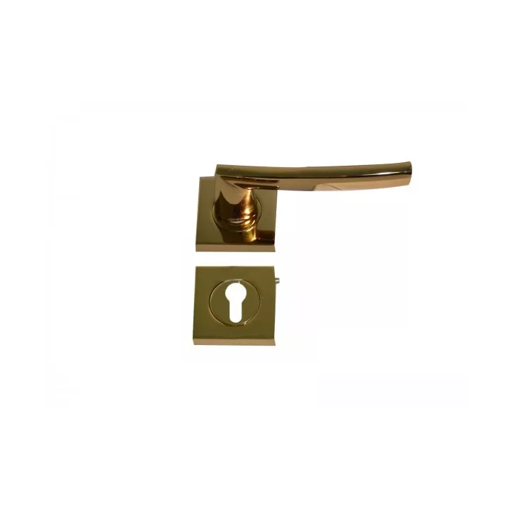 POIGNEE DE PORTE AVEC ROSACE RODOS TROU DE CYLINDRE ALBRIFINE DOGANLAR