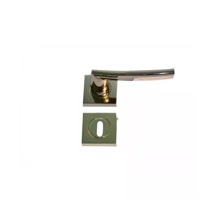 POIGNEE DE PORTE AVEC ROSACE RODOS TROU DE CLE SATINE DOGANLAR