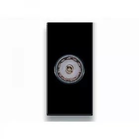 PRISE SAT TYPE F NOIR MAT S43 SOMEF