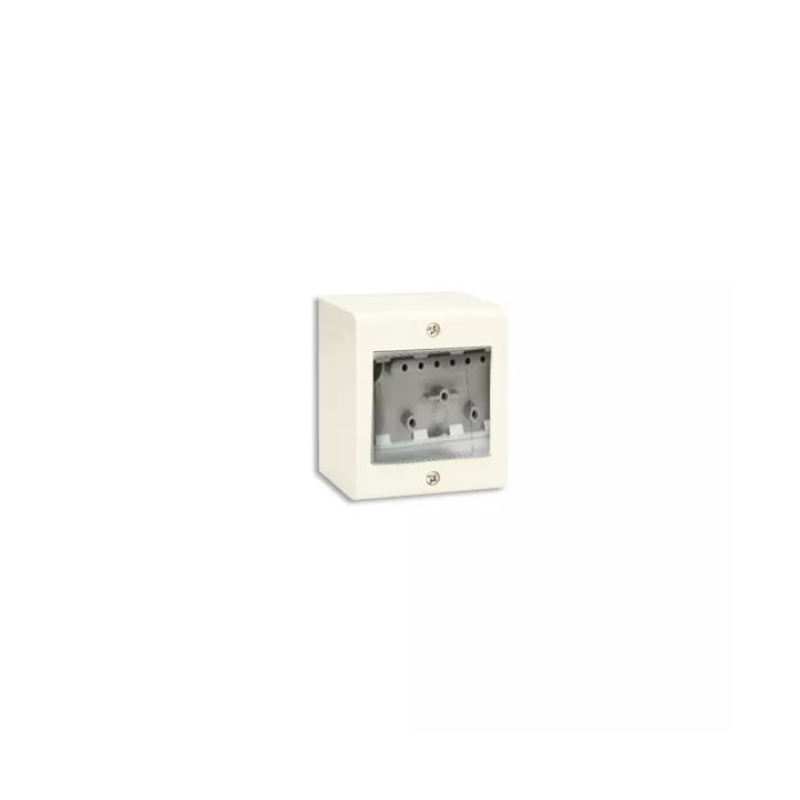 BOITE APPARENTE 2 MODULES IVOIRE SYS45 SOMEF