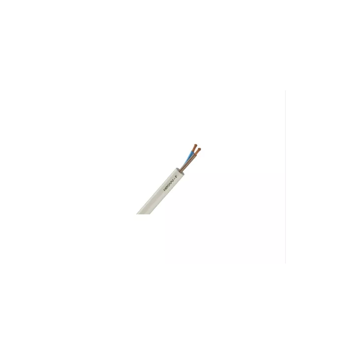 CABLE SOUPLE H05VVF 2X2.5 MM² BLANC 1M