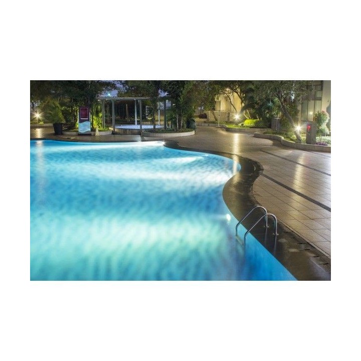 SPOT PISCINE LED ÉTANCHE IP68 3W 12V BLANC CHAUD EKOLED