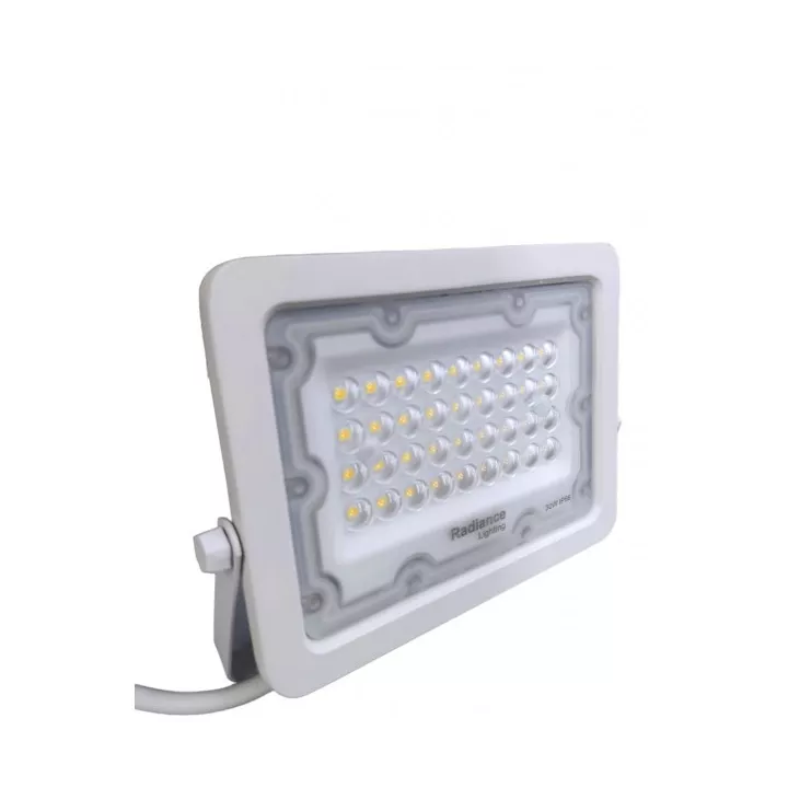 PROJECTEUR LED 30W LUMIÈRE BLANCHE 6500K IP66 RADIANCE LIGHTING PROJECTEUR LED 30W LUMIÈRE BLANCHE 6500K IP66 RADIANCE LIGHTING
