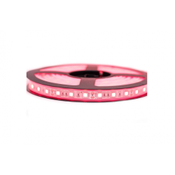 RUBAN 5050/60 LED 12V ROUGE 5 MÈTRES EKOLED