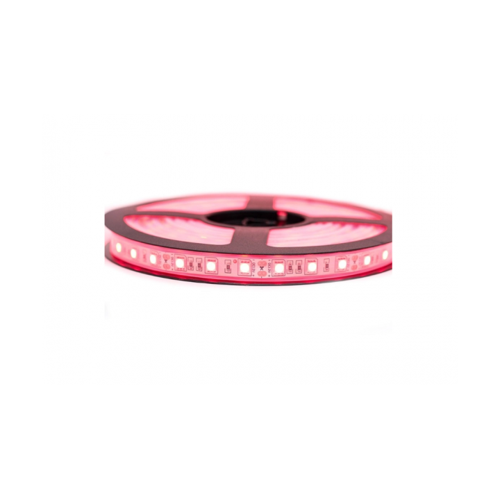 RUBAN 5050/60 LED 12V ROUGE 5 MÈTRES EKOLED RUBAN 5050/60 LED 12V ROUGE 5 MÈTRES EKOLED