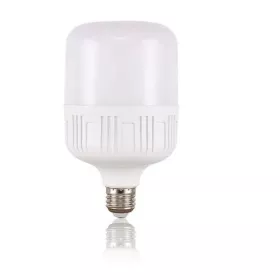 LAMPE LED 40W E27 LUMIÈRE BLANCHE RADIANCE