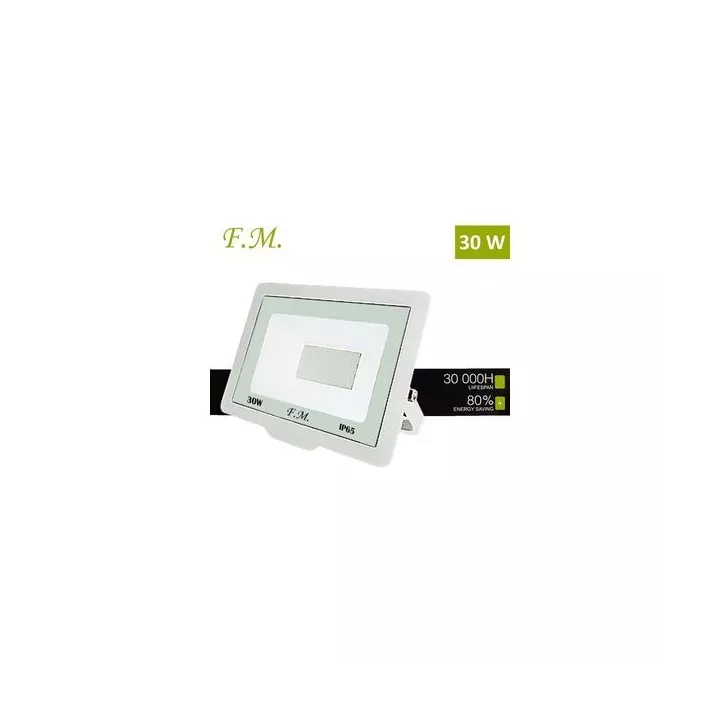 PROJECTEUR LED 30W LUMIÈRE BLANCHE IP65 FM