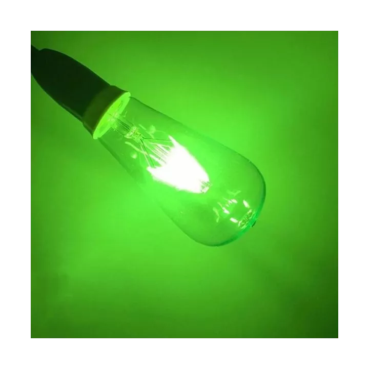 LAMPE LED FILAMENT ST64 E27 4W LUMIÈRE VERT EKOLED LAMPE LED FILAMENT ST64 E27 4W LUMIÈRE VERT EKOLED