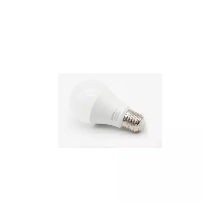 LAMPE LED E27 14W 220V 6500K RADIANCE LIGHTING LAMPE LED E27 14W 220V 6500K RADIANCE LIGHTING