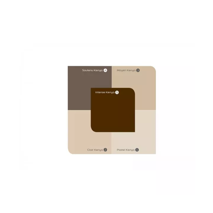 PEINTDECO KENYA INTENSE 4KG ASTRAL