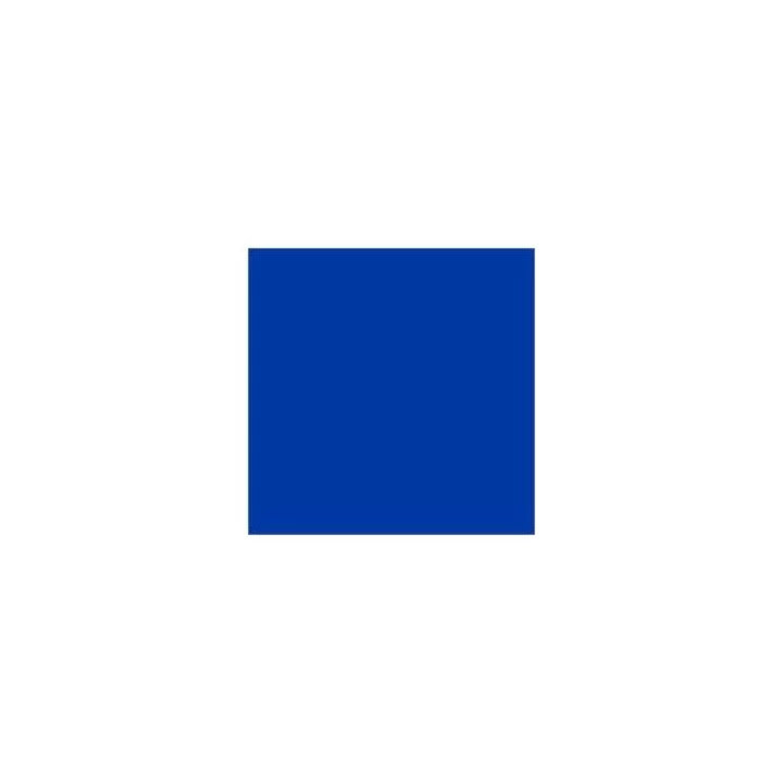 LAQUE BRILLANT PINGOMAIL BLEU 500G CHIMIECOULEUR