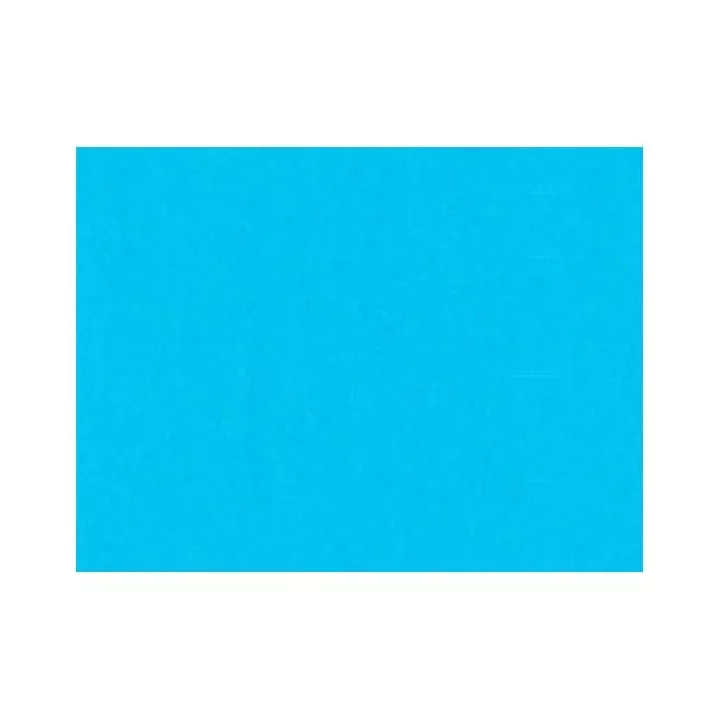 LAQUE BRILLANT PINGOMAIL BLEU CLAIR 250G CHIMIECOULEUR