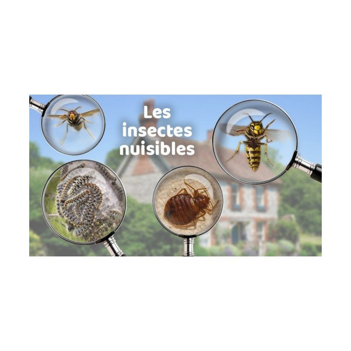 LOT DE 3 RÉPULSIFS RONGEURS ET INSECTES ULTRASON WEITECH LOT DE 3 RÉPULSIFS RONGEURS ET INSECTES ULTRASON WEITECH