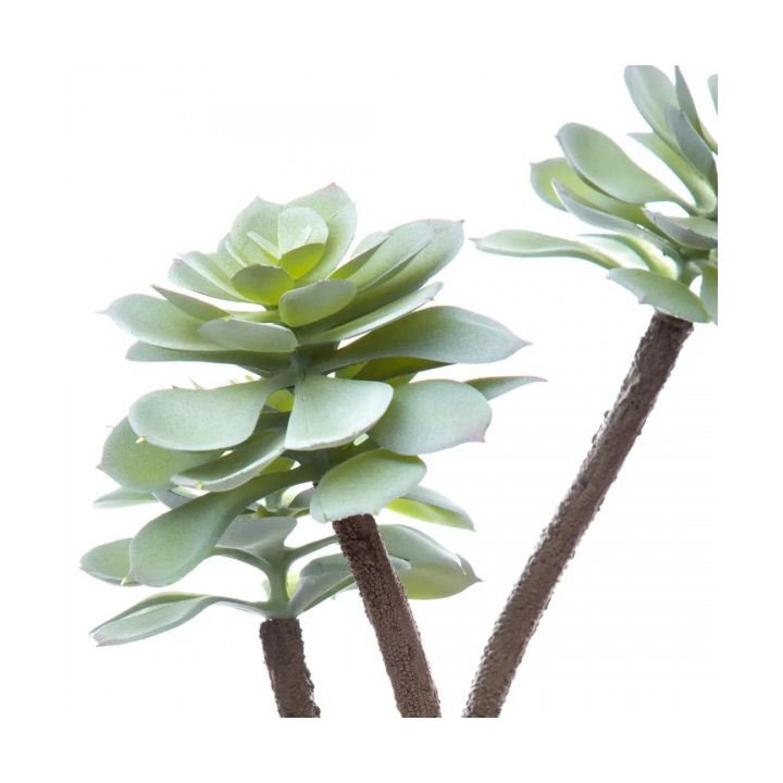 PLANTE GRASSE ARTIFICIELLE H 30CM POT EN CIMENT ATMOSPHERA