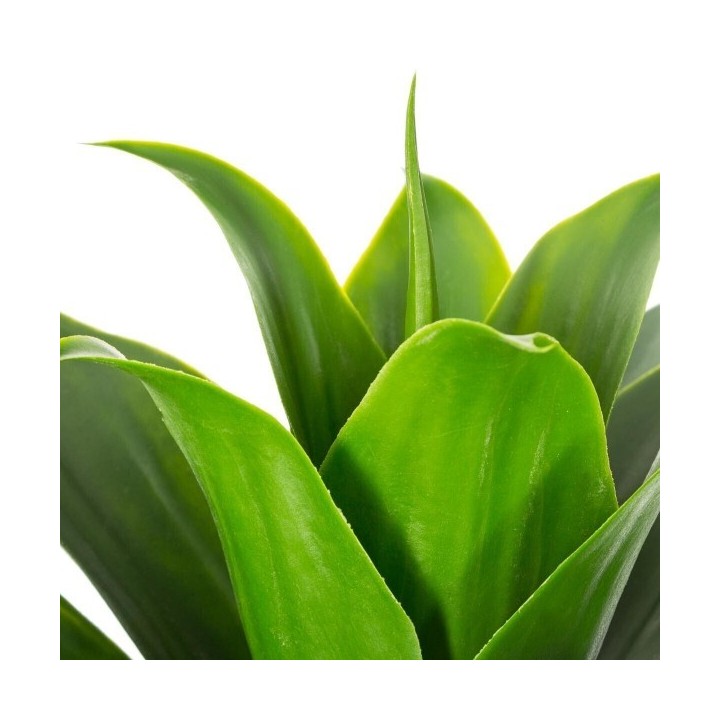 ALOE VERA ARTIFICIEL H34CM POT EN PAPIER ATMOSPHERA