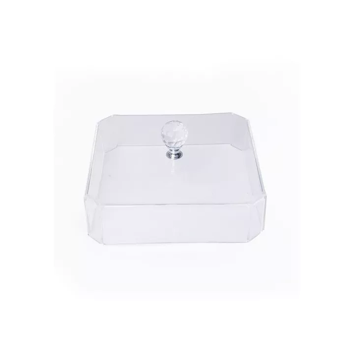 PLATEAU CARRÉ 21*21CM EN INOX 18/10 AVEC CLOCHE MAMINOX PLATEAU CARRÉ 21*21CM EN INOX 18/10 AVEC CLOCHE MAMINOX