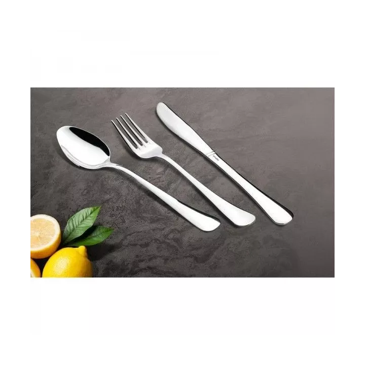 COFFRET EN CARTON DE 24 COUVERTS DE TABLE ZINA WINOX