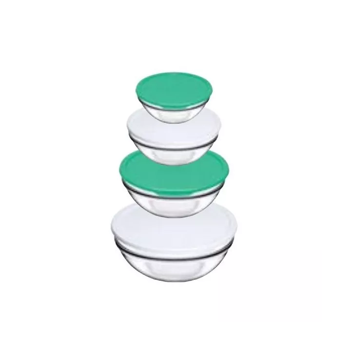 LOT DE 4 BOÎTES DE CONSERVATION EN VERRE PASABAHCE