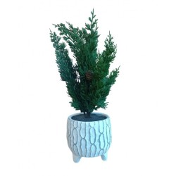 PLANTE ARTIFICIELLE 11*37CM, POT EN CIMENT BLANC
