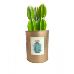 PLANTE ARTIFICIELLE 20*10CM, POT DÉCORATIF