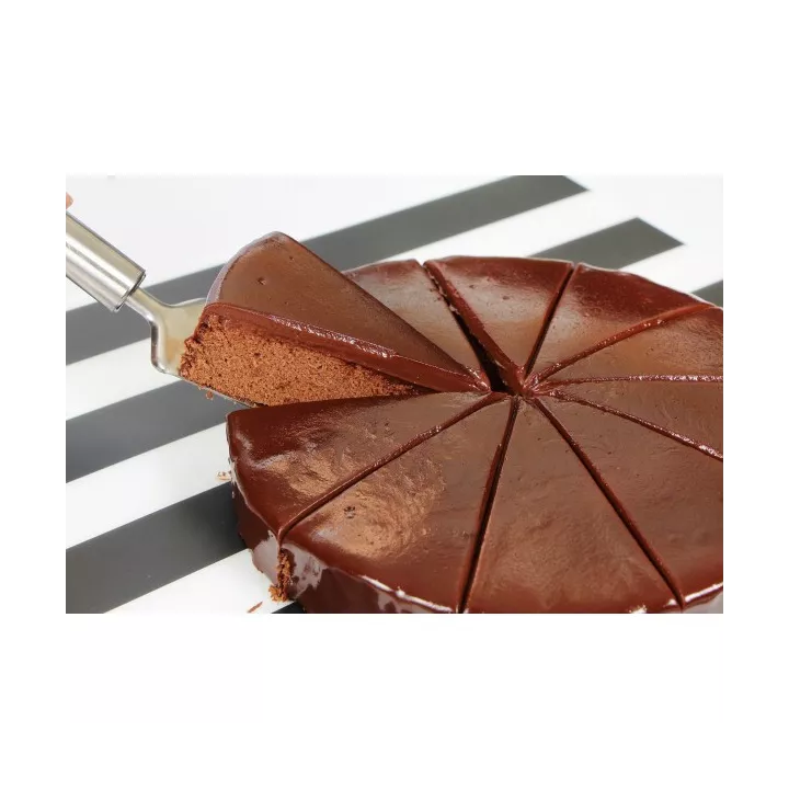 PELLE À GÂTEAU 24*5CM GEOR