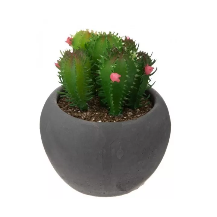 MINI PLANTE ARTIFICIELLE CACTUS HAUTEUR 11.5 CM , POT EN CIMENT ATMOSPHERA