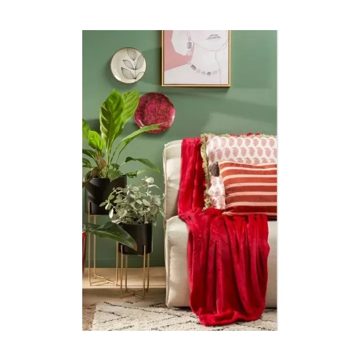 PLAID POLAIRE MICROFIBRE UNIE 1 PLACE LYNDA