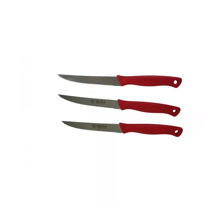 LOT DE 3 COUTEAUX DE CUISINE 12CM SEKKINOX