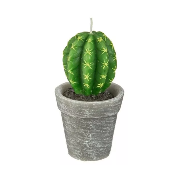 BOUGIE PLANTE 200G ATMOSPHERA