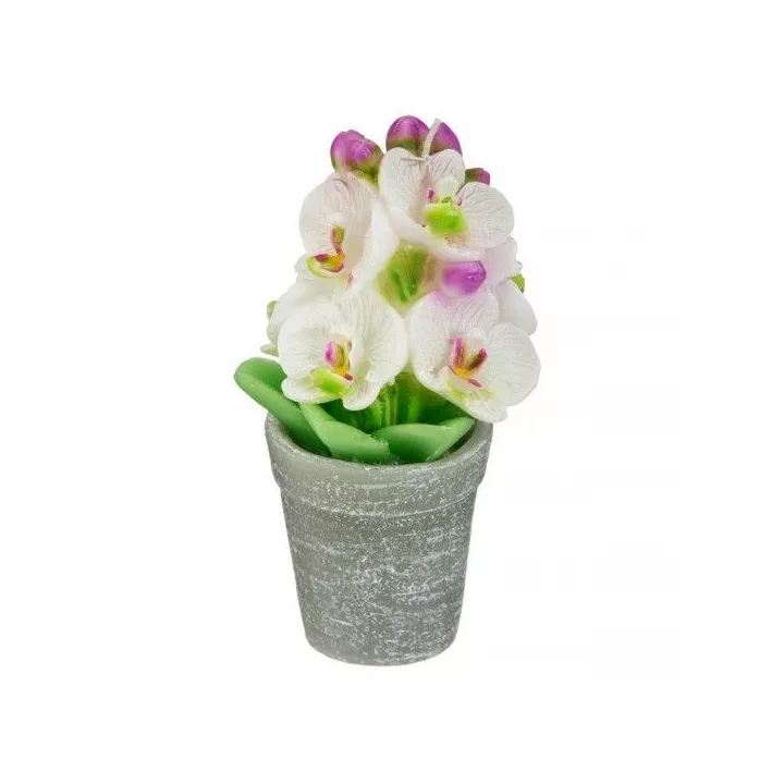 BOUGIE ORCHIDÉE 170G ATMOSPHERA