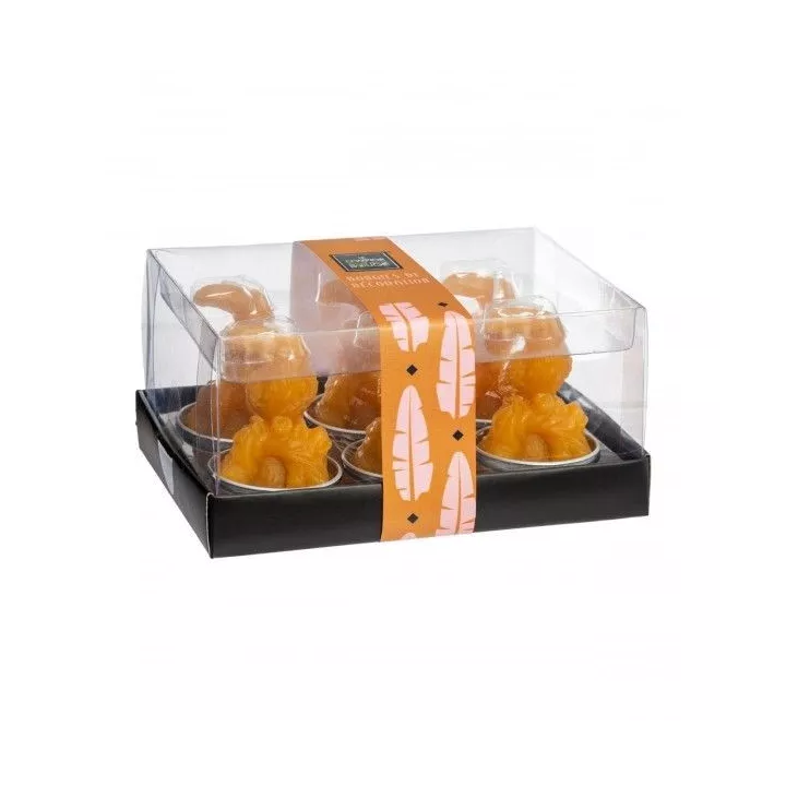LOT DE 6 BOUGIES TOUCAN ATMOSPHERA