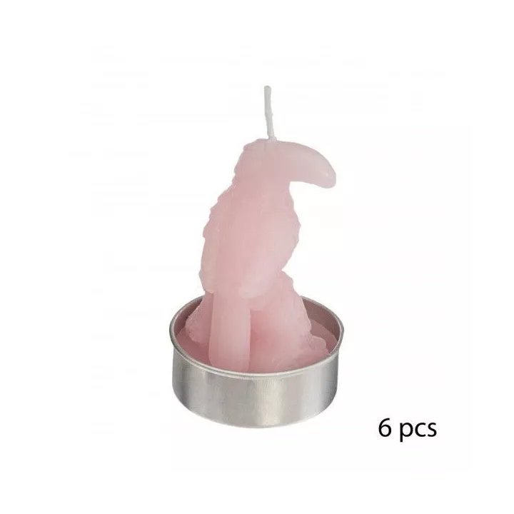 LOT DE 6 BOUGIES TOUCAN ATMOSPHERA