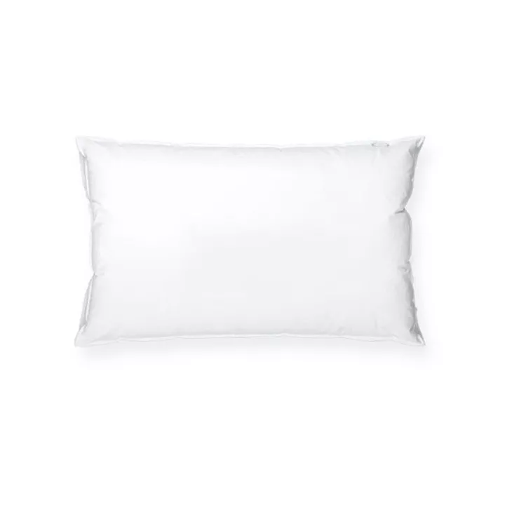 OREILLER EN TISSU 50*70CM LAROUSSA OREILLER EN TISSU 50*70CM LAROUSSA