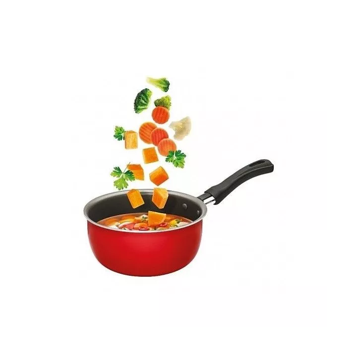 CASSEROLE Ø 14CM TASTY WINOX