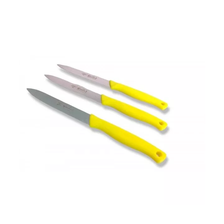 LOT DE 3 COUTEAUX DE CUISINE 21CM SEKKINOX