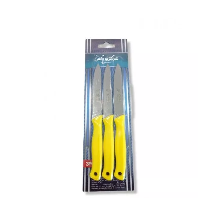 LOT DE 3 COUTEAUX DE CUISINE 21CM SEKKINOX