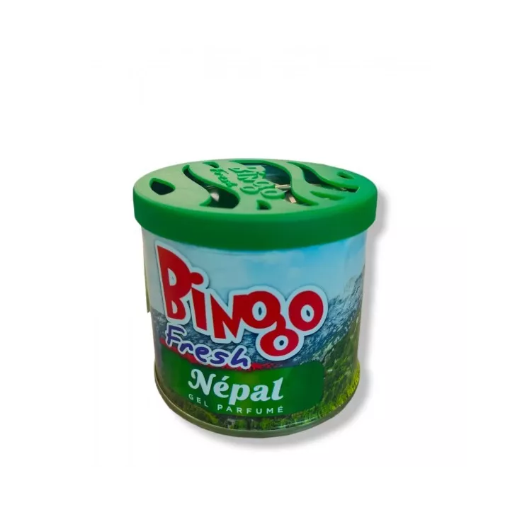 DÉSODORISANT GEL PARFUMÉ 200G BINGO