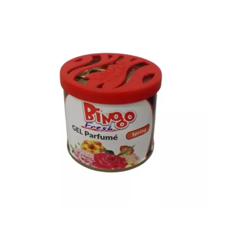 DÉSODORISANT GEL PARFUMÉ 200G BINGO