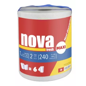 ESSUIE-TOUT MAXI 240 FEUILLES BLANC NOVAFRECH