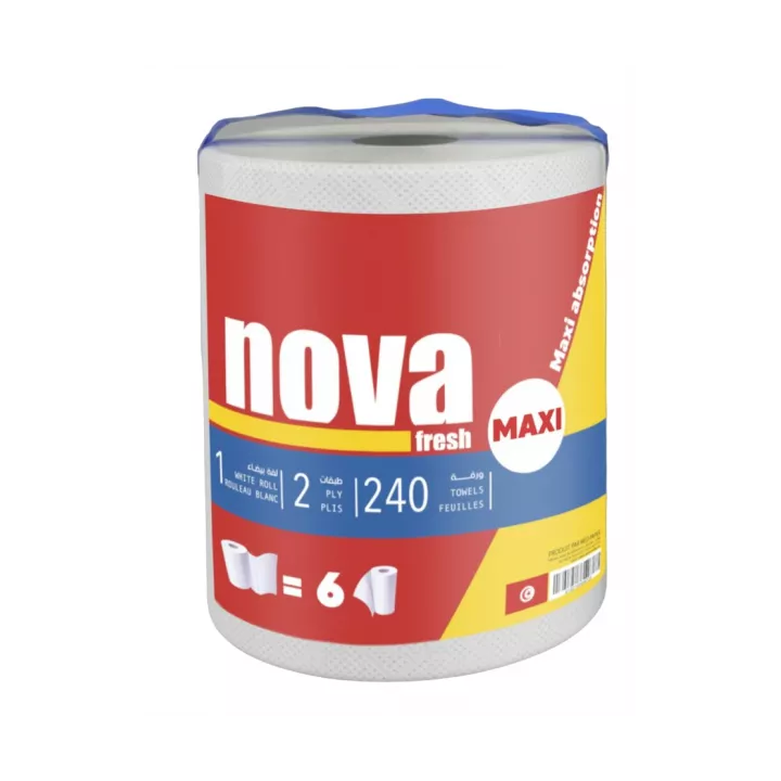 ESSUIE-TOUT MAXI 240 FEUILLES BLANC NOVAFRECH ESSUIE-TOUT MAXI 240 FEUILLES BLANC NOVAFRECH
