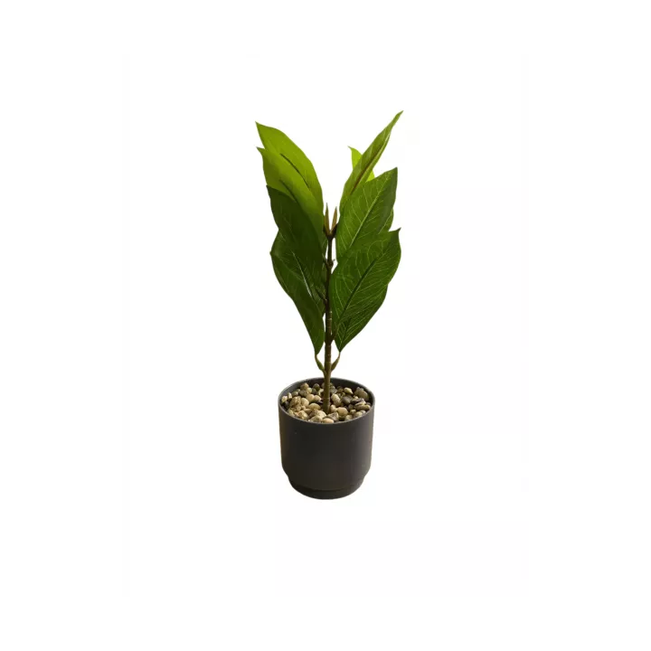 PLANTE ARTIFICIELLE HAUTEUR 27CM ,POT EN PLASTIQUE NOIR PLANTE ARTIFICIELLE HAUTEUR 27CM ,POT EN PLASTIQUE NOIR