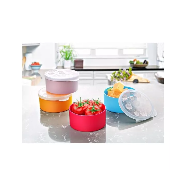 LOT DE 4 BOÎTES DE CONSERVATION 200 ML AVEC COUVERCLE EN PLASTIQUE EMHOUSE