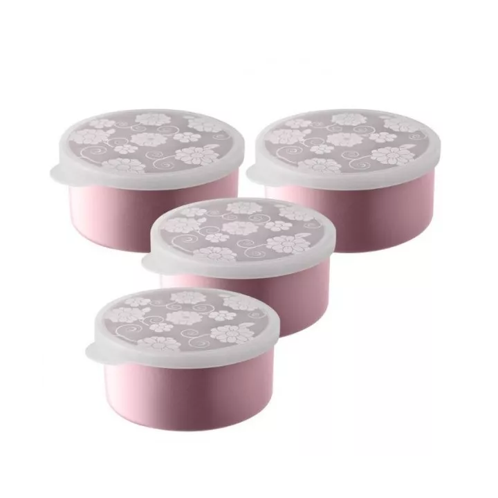 LOT DE 4 BOÎTES DE CONSERVATION 200 ML AVEC COUVERCLE EN PLASTIQUE EMHOUSE