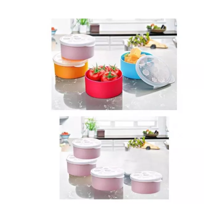 LOT DE 4 BOÎTES DE CONSERVATION 200 ML AVEC COUVERCLE EN PLASTIQUE EMHOUSE