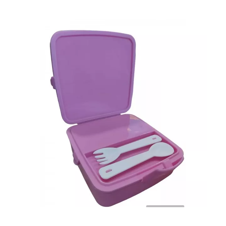 BOITE À REPAS AVEC COMPARTIMENTS SOFPINCE