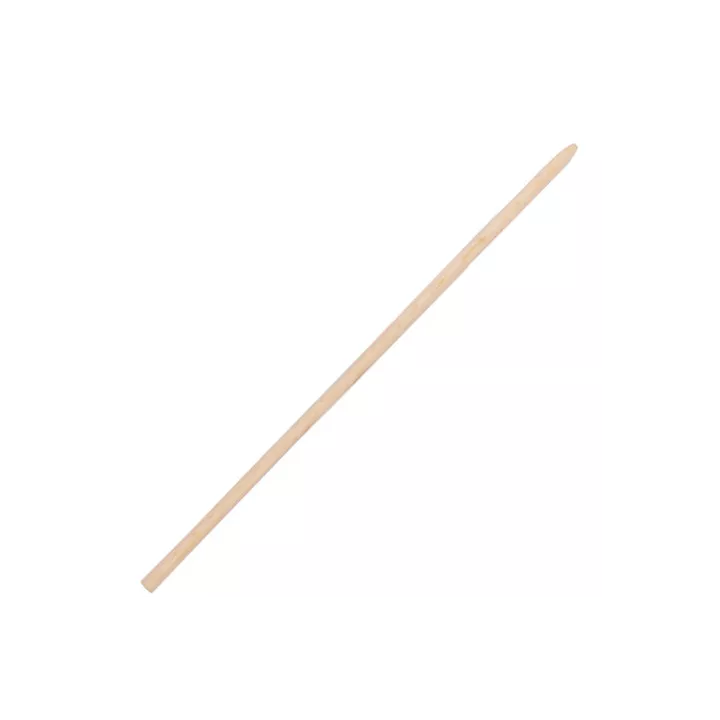 MANCHE À BALAI EN BOIS 1.20M