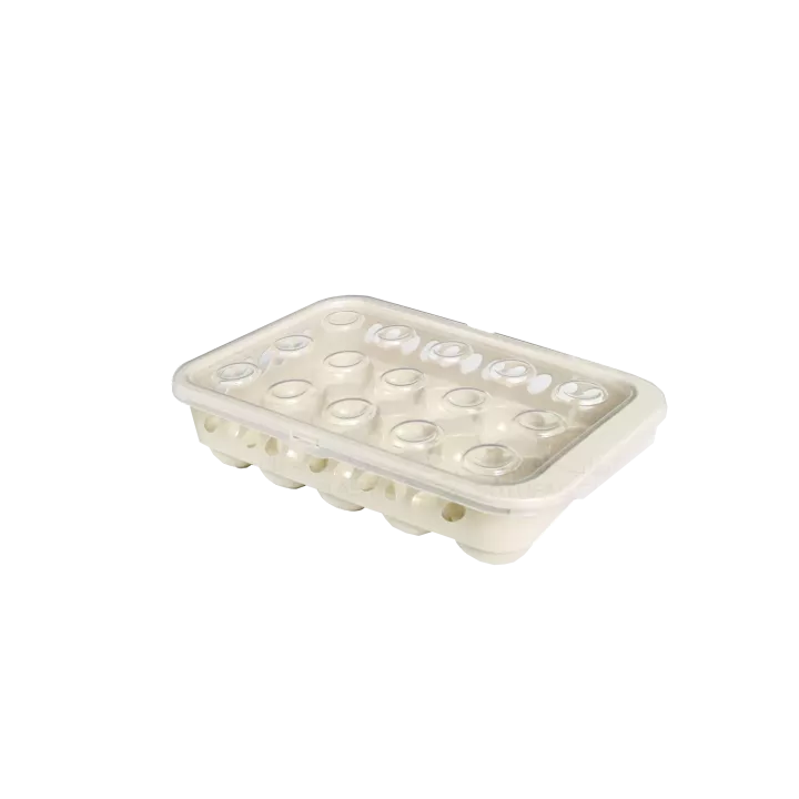 BOÎTE À OEUFS EN PLASTIQUE 15 CASES SOTUFAB PLAST