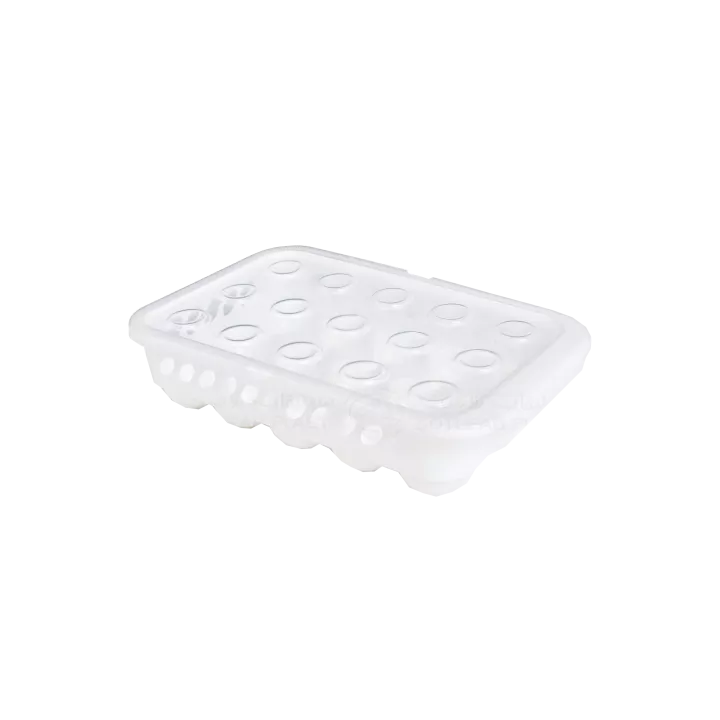 BOÎTE À OEUFS EN PLASTIQUE 15 CASES SOTUFAB PLAST