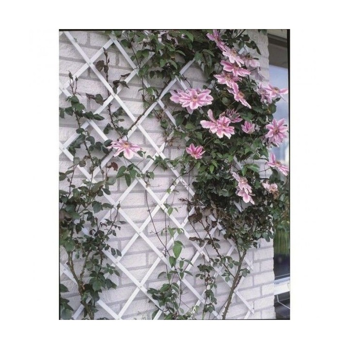 TREILLIS EN PVC EXTENSIBLE 1*2M BLANC NORTENE TREILLIS EN PVC EXTENSIBLE 1*2M BLANC NORTENE